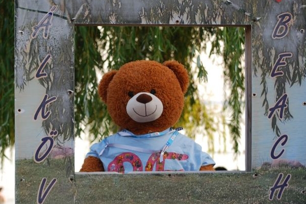 Medve Matek Nyári Élménytábor 2025 - Pálköve II.